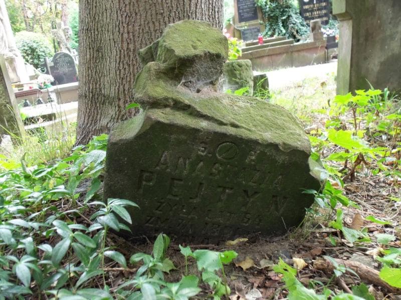 Zdjęcie grobu Anastazja Pejtyn (1)