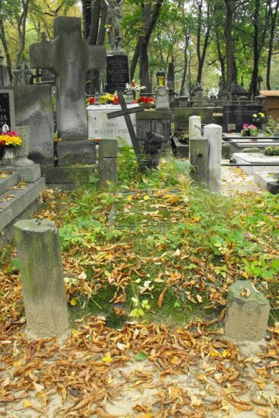 Zdjęcie grobu: Hipolit Lipowski