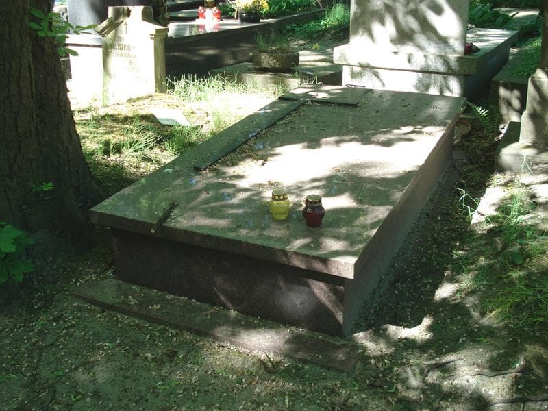 Zdjęcie grobu: Henryk Jaskólski
