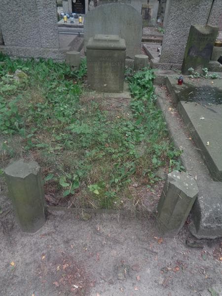 Zdjęcie grobu Maria Dobrowolska (1)