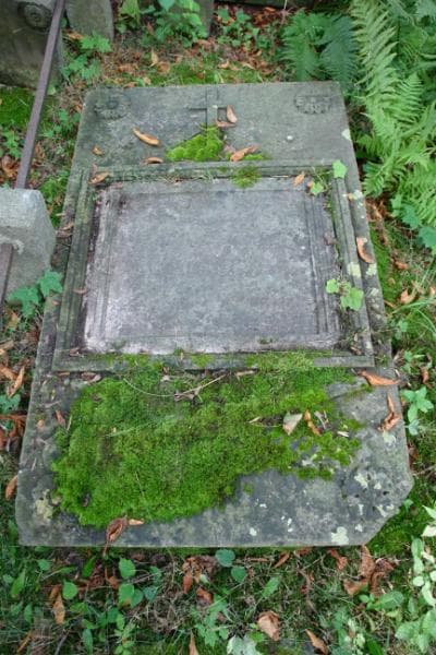Zdjęcie grobu Teodor Krajewski (2)
