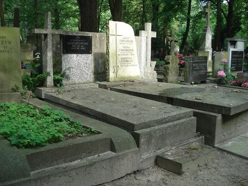 Zdjęcie grobu Konstanty Brzozowski (1)