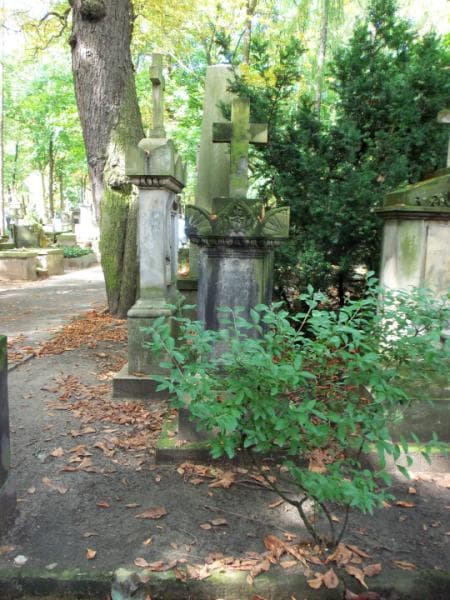 Zdjęcie grobu: Rozalia Wyleżyńska
