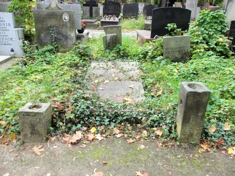 Zdjęcie grobu: Władysława Daniszewska