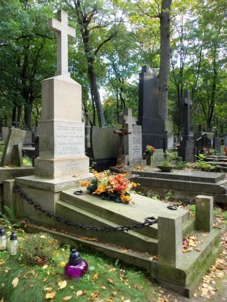 Zdjęcie grobu Stanisław Głuszcz (1)