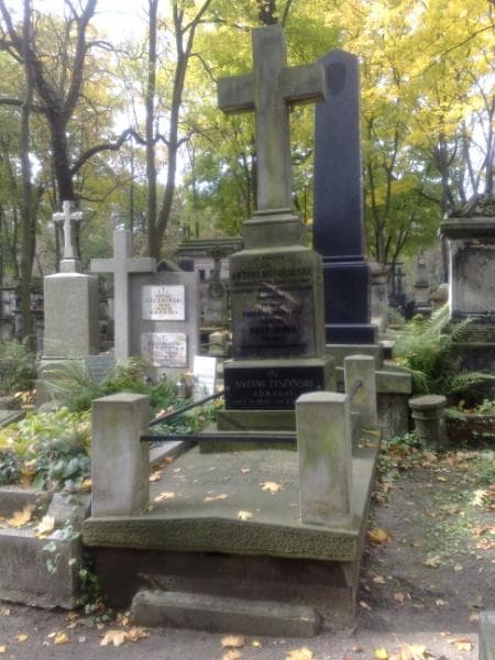 Zdjęcie grobu: Antoni Tyszyński