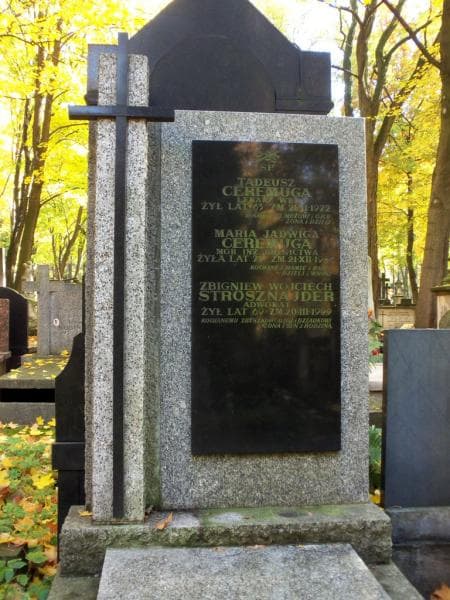 Zdjęcie grobu Tadeusz Ceremuga (2)
