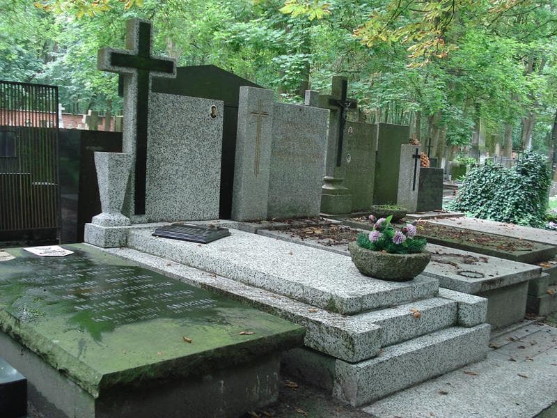 Zdjęcie grobu Bolesław Czech (1)