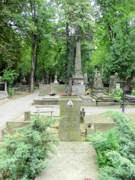 Zdjęcie grobu ... Brzozowska (2)