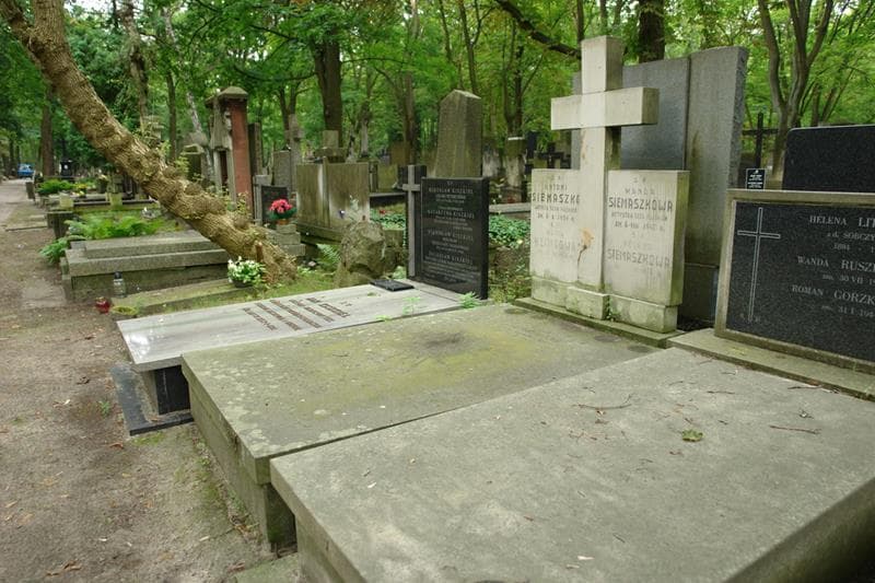 Zdjęcie grobu: Maria Klingowa