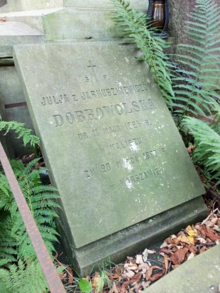 Zdjęcie grobu Julja Dobrowolska (2)