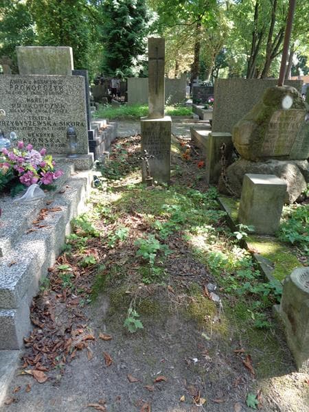 Zdjęcie grobu Wincenty Tomkowicz (1)