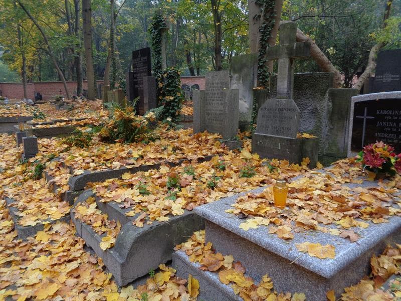 Zdjęcie grobu: Anna Olesińska