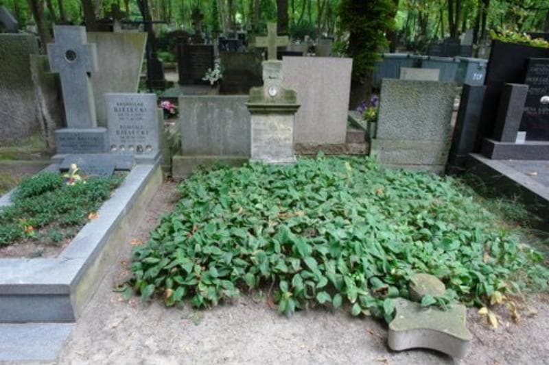 Zdjęcie grobu: Kazimierz Arciszewski