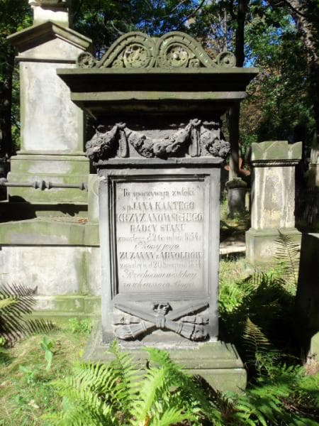 Zdjęcie grobu Zuzanna Krzyżanowska (2)