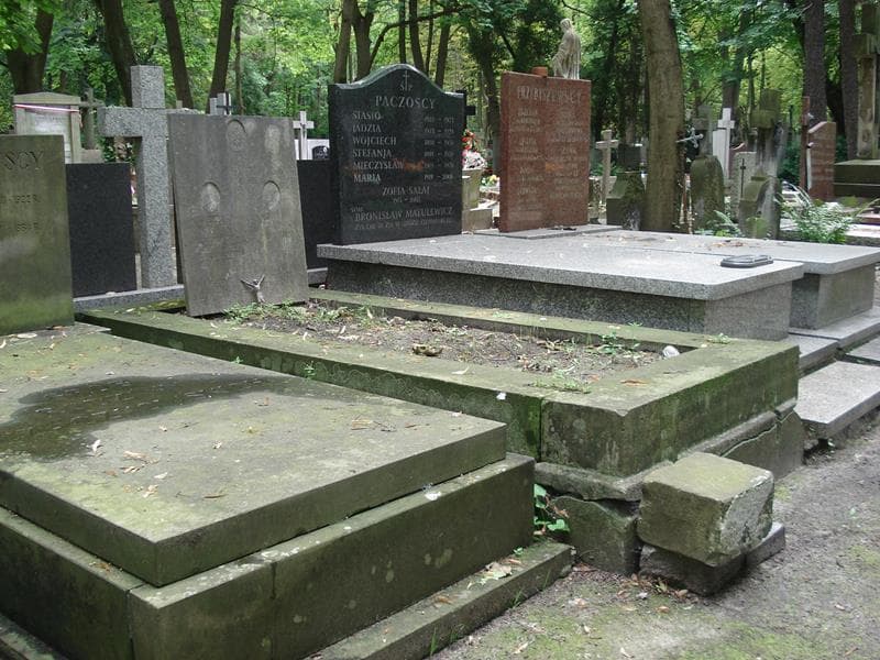 Zdjęcie grobu Wandeczka Budahowska (1)