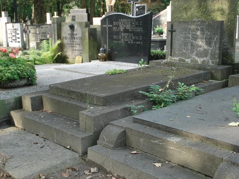 Zdjęcie grobu Zofia Domaniewska (1)