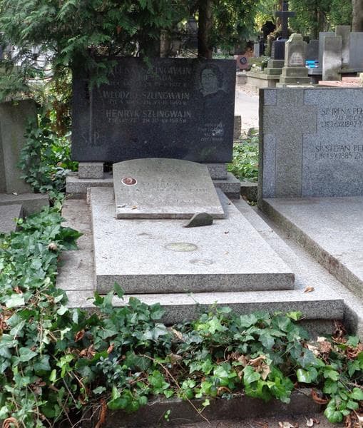 Zdjęcie grobu Henryk Szlingwajn (1)