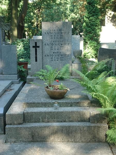 Zdjęcie grobu: Gertruda Antosiewicz