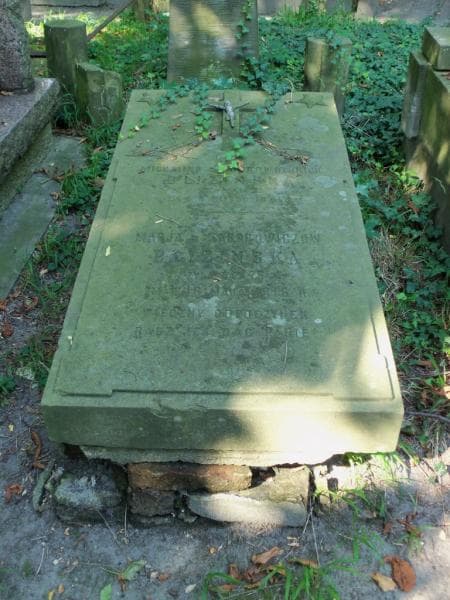 Zdjęcie grobu Michalina Blizińska (2)