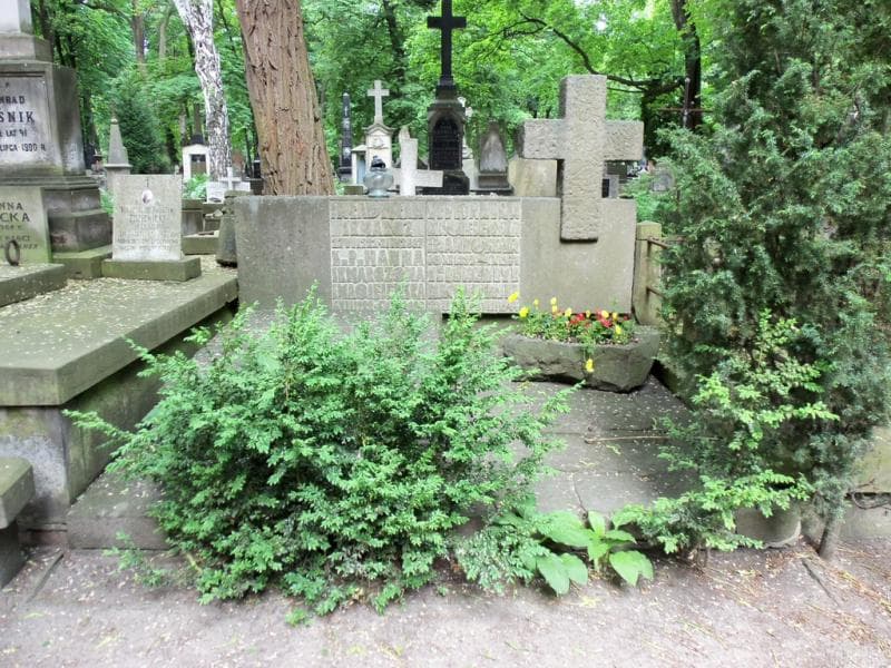 Zdjęcie grobu: Henryk Maciejewski