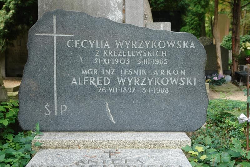 Zdjęcie grobu Roman Wyrzykowski (2)
