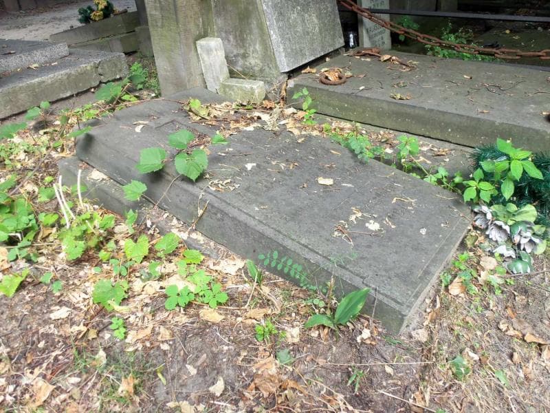 Zdjęcie grobu Eleonora Jodłowska (1)
