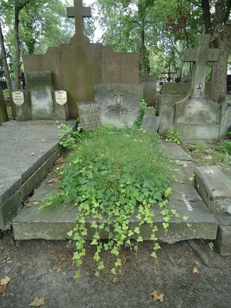 Zdjęcie grobu: Jerzy Dolnicki