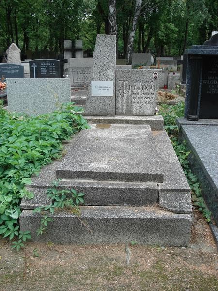 Zdjęcie grobu: Stanisław Pelikan