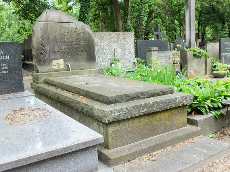 Zdjęcie grobu Henryka Dąbkowska (1)