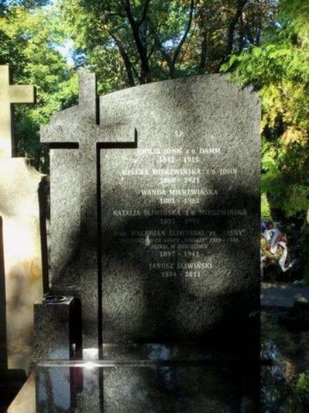 Zdjęcie grobu Emilia John (2)