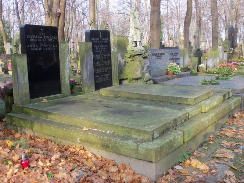 Zdjęcie grobu Wacław Żywocki (1)