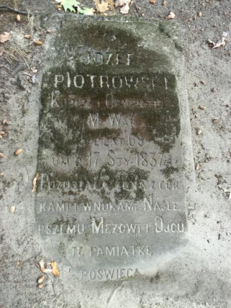 Zdjęcie grobu Józef Piotrowski (2)