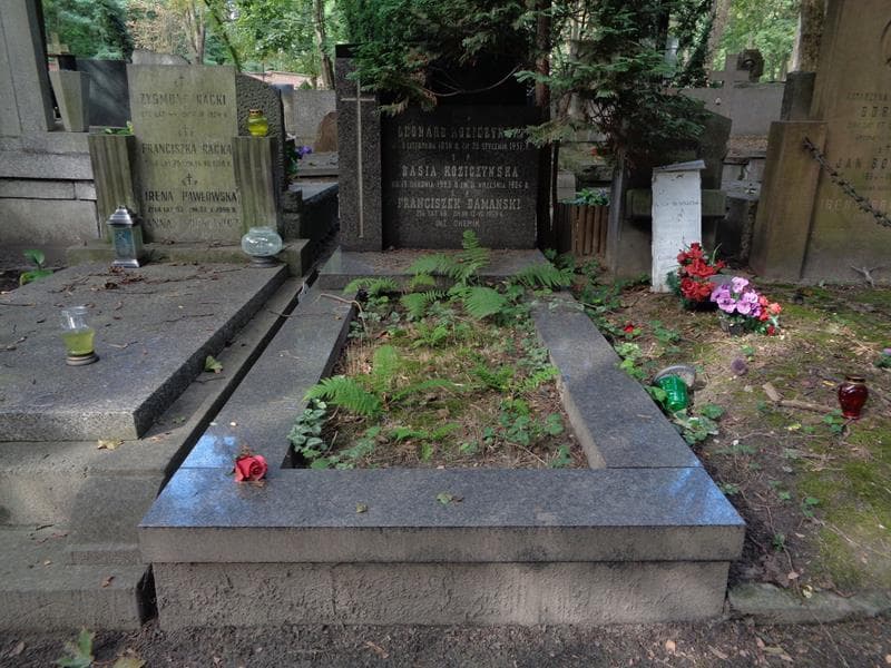 Zdjęcie grobu Leonard Koziczyński (1)