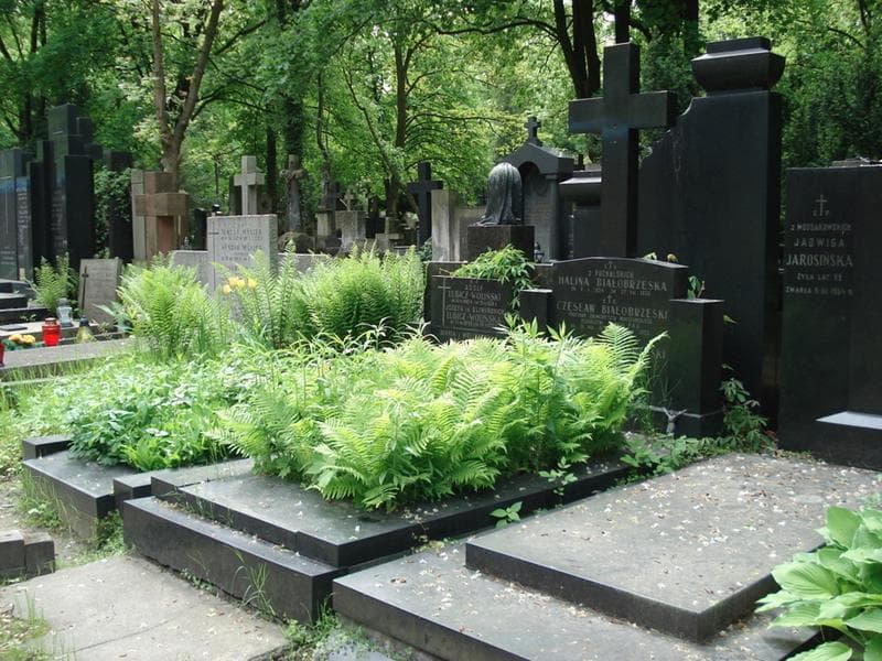 Zdjęcie grobu: Czesław Białobrzeski