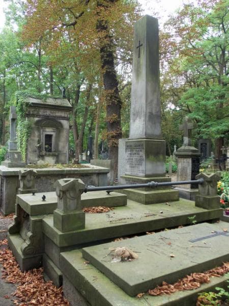 Zdjęcie grobu Michalina Littererowa (1)