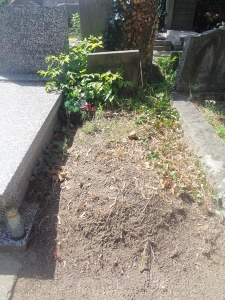 Zdjęcie grobu Tadeusz Bruszewski (1)