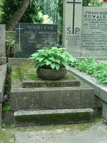 Zdjęcie grobu: Jan Niemczyk