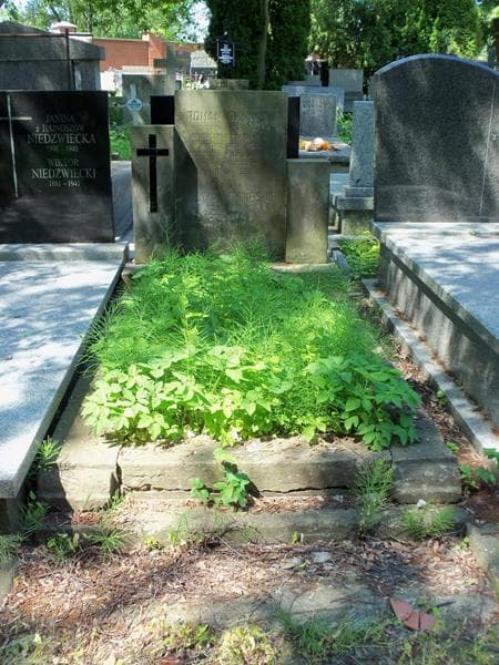 Zdjęcie grobu: Roman Okniński