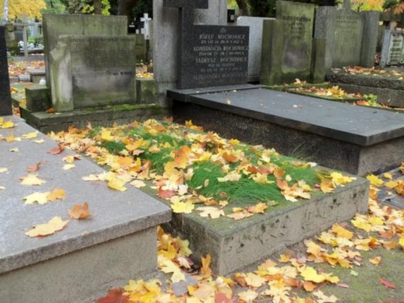 Zdjęcie grobu Zofia Luxenburg (1)