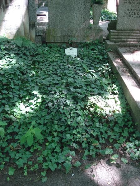 Zdjęcie grobu: Zygmunt Pawlak