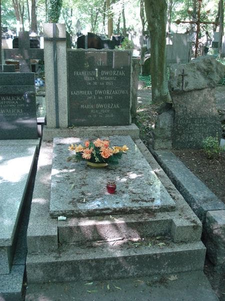 Zdjęcie grobu: Franciszek Dworzak