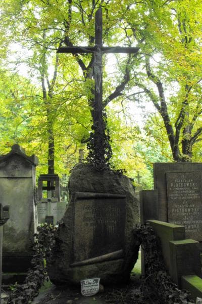 Zdjęcie grobu Teodor Górski (2)