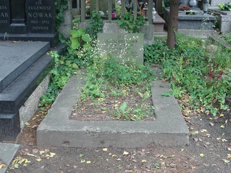 Zdjęcie grobu: Tadeusz Mielczarek