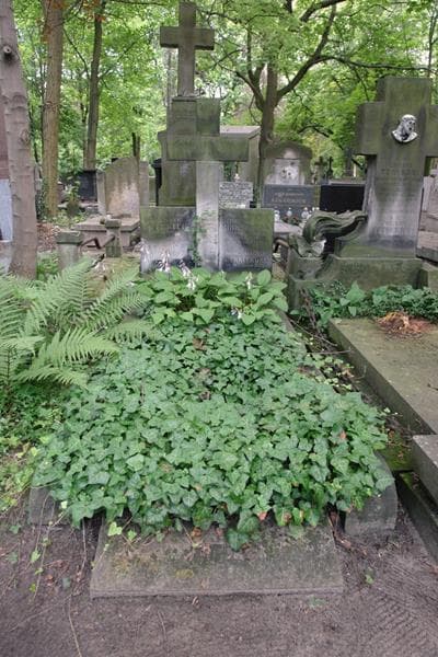 Zdjęcie grobu Henryk Cyrkler (1)