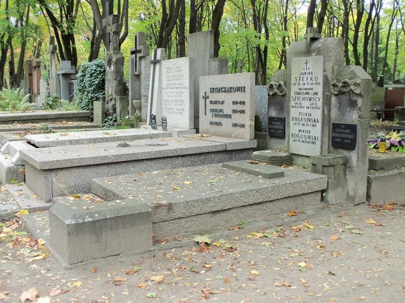 Zdjęcie grobu Wiktor Bogusiński (1)