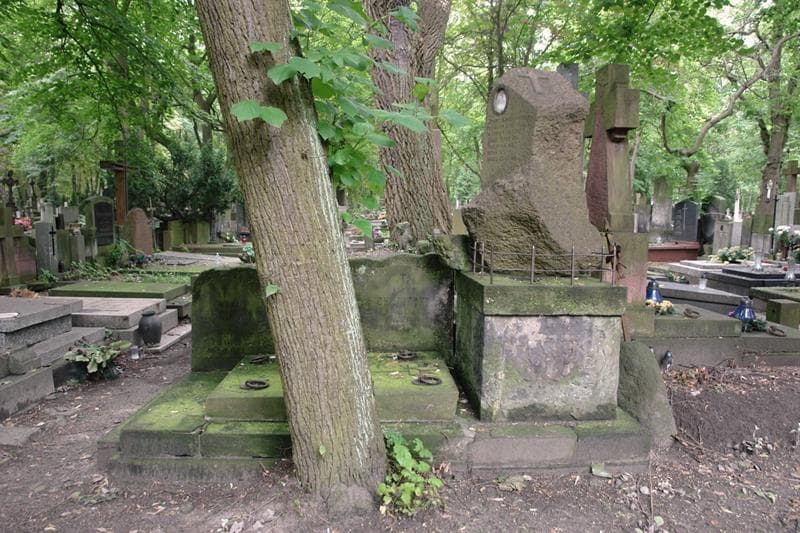 Zdjęcie grobu: Reniuś Chęciński