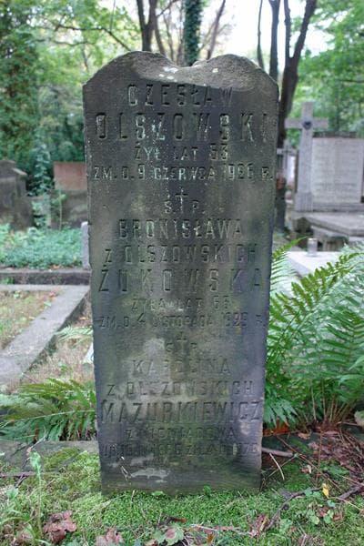 Zdjęcie grobu Czesław Olszowski (2)