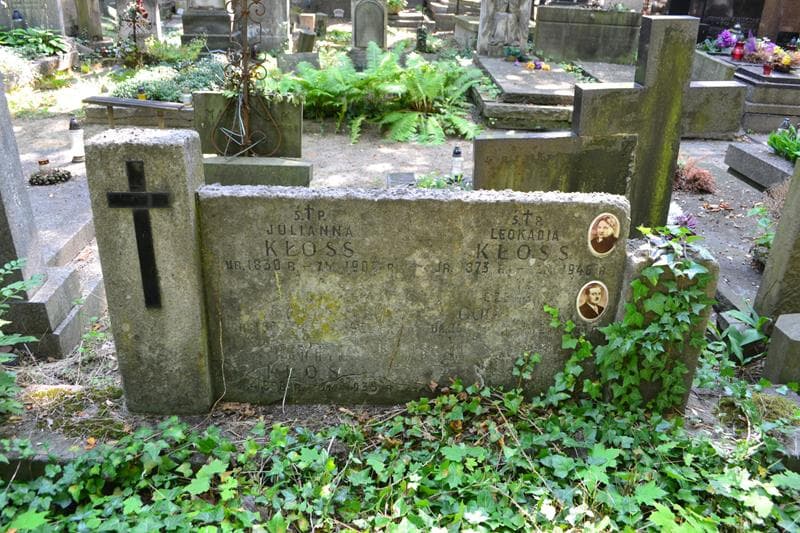 Zdjęcie grobu Henryk Kłoss (2)