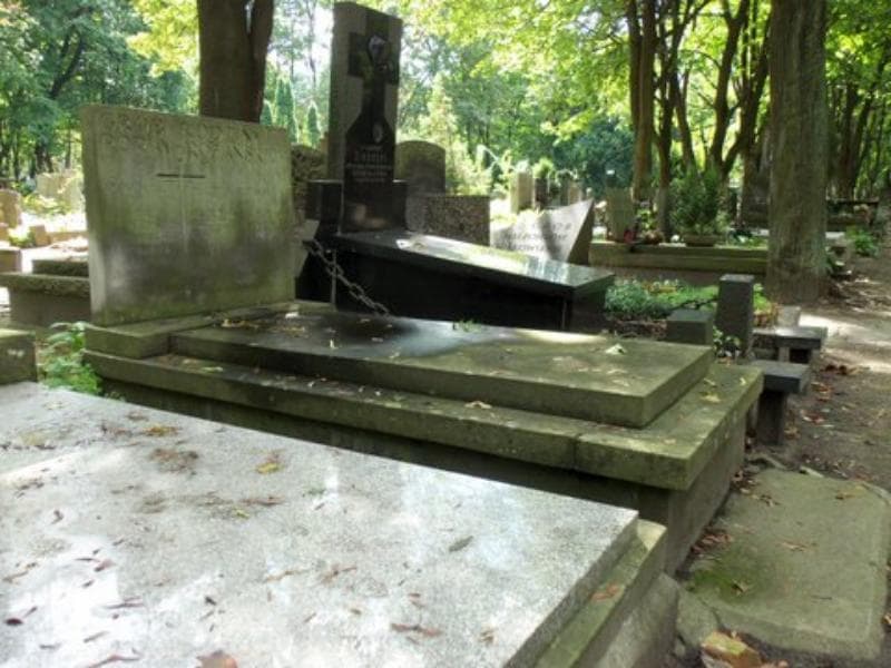 Zdjęcie grobu Zofia Michrowska - Kotowska (1)